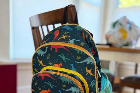Owner-used Wildkin Jurassic Dinosaurs 12-inch backpack with visible everyday wear